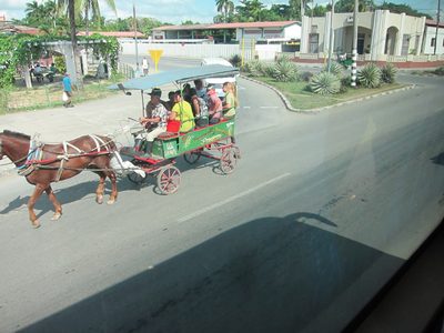 Horse at a trot